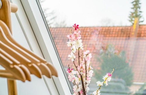 Aeroskobing House | Ærø Guesthouse & Cafe