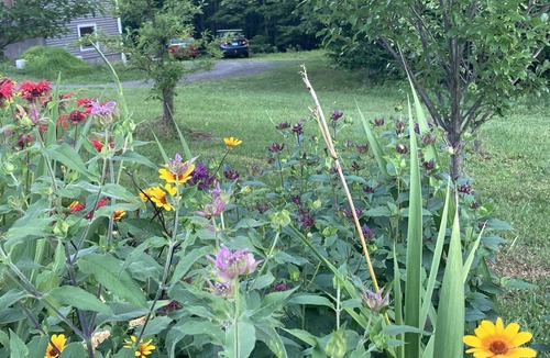 Bethel Apartment | Affordable, 30 min to Killington