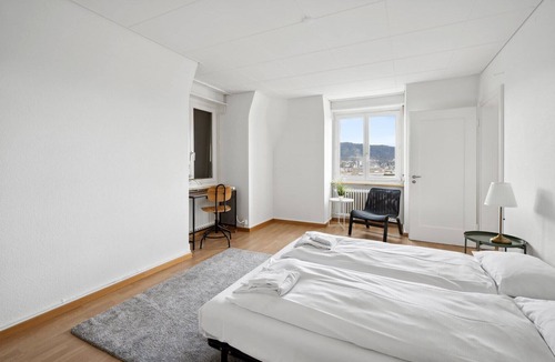 Oberstrass Apartment | Affordable, Central, Cozy Zurich Flat