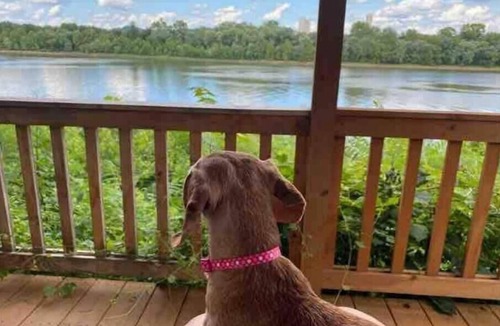 Gallipolis Ferry Cabin | Affordable Cozy Cedar Cabin Overlooking the River