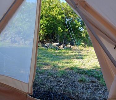 Discovery Harbour Other | Affordable Hawai'i