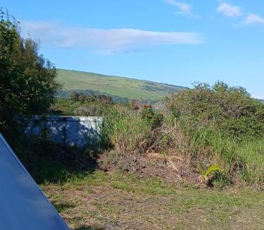 Discovery Harbour Other | Affordable Hawai'i