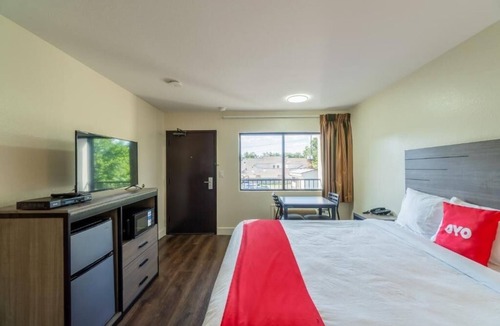 FM 1960 Hotel | Affordable King-Bed Room Ideal for Pet Owners at Houston Stay