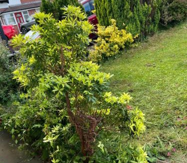 Bury Villa | Affordable Suites