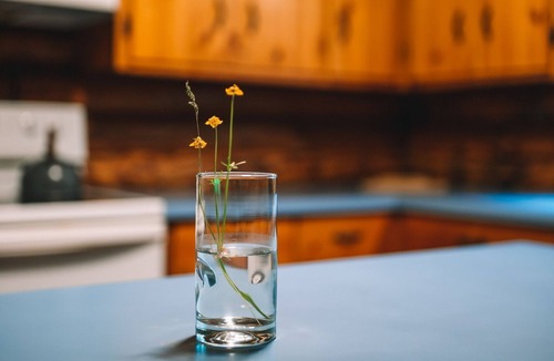 Afton Hotel | Afton Cabin