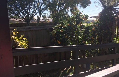 Te Rapa Cottage | Agapantha Cottage Retreat