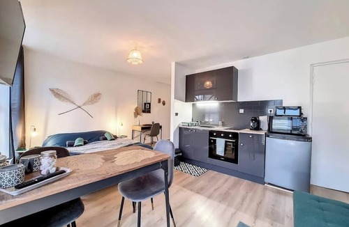 Quartier Pasteur Apartment | Agathe : vue, style et parking