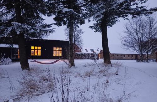 Nykobing Mors House | Agerdal - dejligt hus midt i mark og have