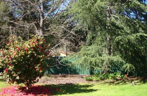 Bright House | Ageri Holiday House