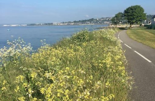 Equeurdreville-Hainneville House | Agréable maison meublée