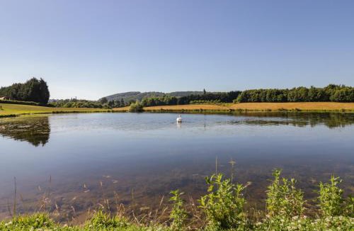 Great Witley House | Ailsa Craig