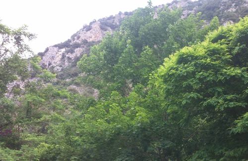 Corneilla-de-Conflent House | Air-conditioned mobile home with swimming pool