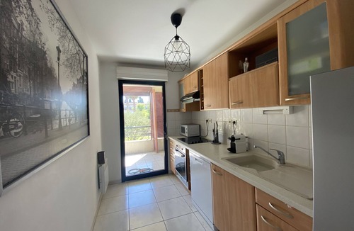 Boutonnet Apartment | Air-conditioned apartment with terrace Albert 1er