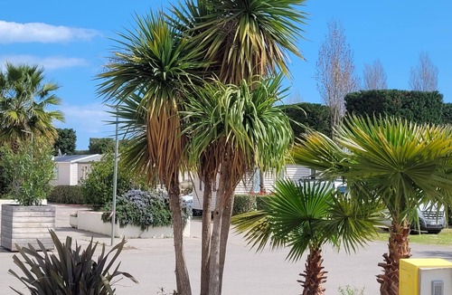 Vic-la-Gardiole House | Air-conditioned mobile home