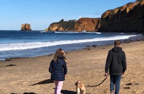 Aireys Inlet House | Aireys Bush Sanctuary