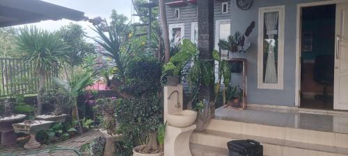 Bayan House | Akria Bed and breakfast
