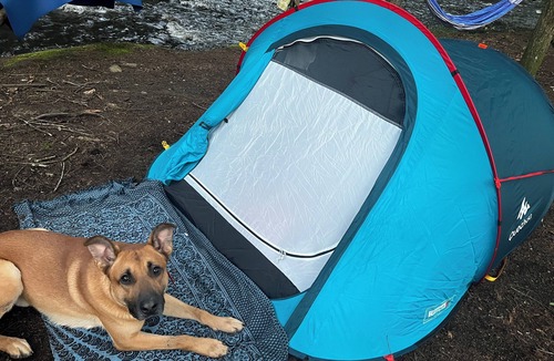 Harris RV Rental | Akuniel & Guatu Ninaru -River Sites Taino Woods