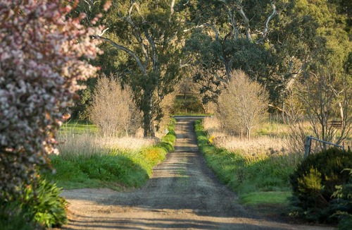 Sampson Flat Bed & Breakfast | AL RU Farm