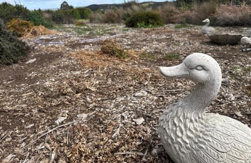 Wallan House | Alaaya