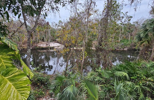 Bloomingdale Cabin | Alafia River Waterfront Tranquil Cabin