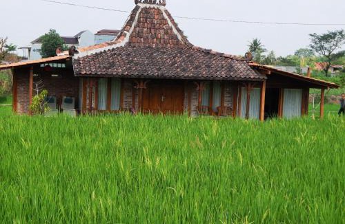 Sleman House | Alamanda Villas, Family Villas, Pool & Local Tours