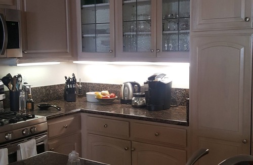 Alamo House | Alamo Condo in the Trees