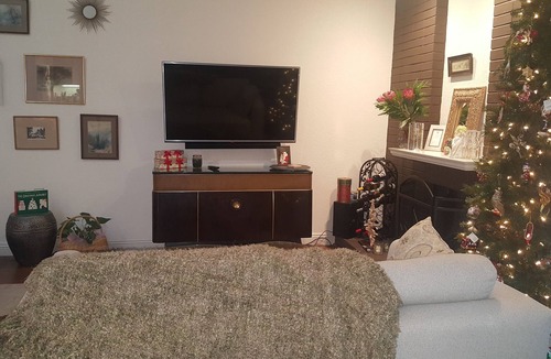 Alamo House | Alamo Condo in the Trees