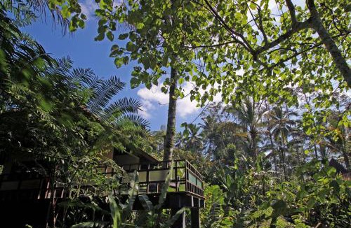East Selemadeg Resort | Alassari Sanctuary