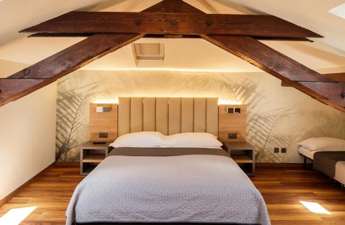 Ascona Hotel | Albergo Mirador Ascona