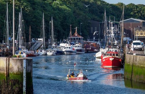 Eyemouth Apartment | Albero Apartment