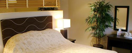 Kirkwall Hotel | Albert Hotel