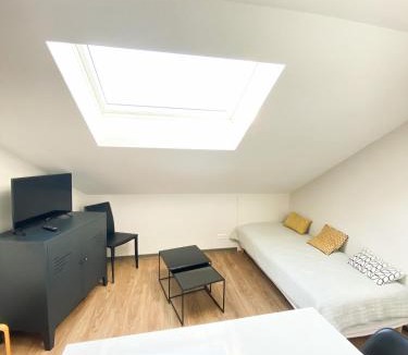 Albi Apartment | ALBIAPPART(2)