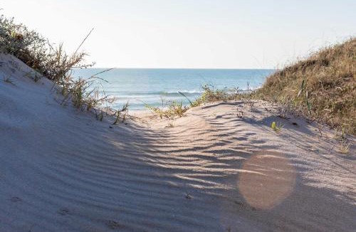 El Saler Apartment | Albufera Dreams Nature Suites