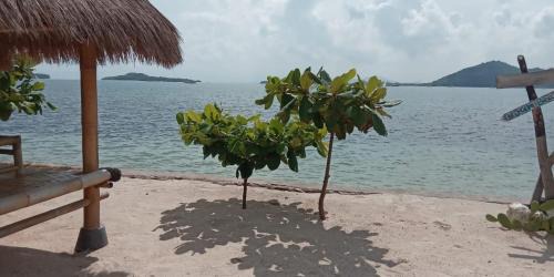 Sekotong Barat Resort | Alden Beach House