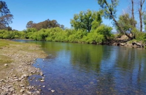 Alexandra Cabin | Alexandra Parklife. Deluxe Studio 1