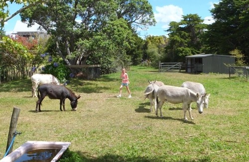 Algies Bay House | Algies Bay holiday home