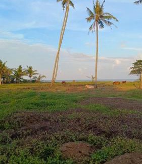 Kota Bharu House | Alhambra Beach Staycation - Bachok