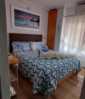 Raval Roig Apartment | Alicante Postiguet Studio
