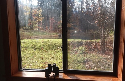 Salamanca House | Allegany State Park Rental in the Forest