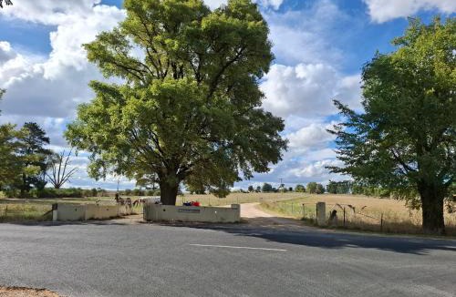 Eglinton Apartment | Alloway Bank