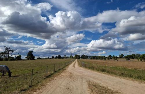 Eglinton Apartment | Alloway Bank