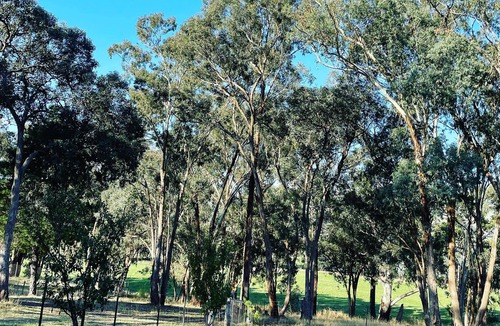 Gobur House | Allsops Paddock Farm Stay - Pet Friendly Min 2 Night Booking