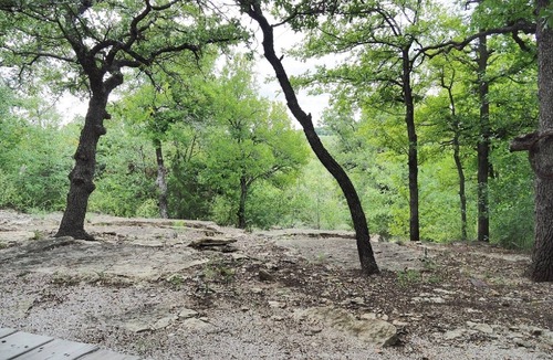 Eastland House | Allure charming peaceful wooded Hill Country like views with easy Lake access