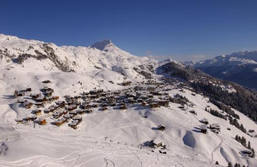 Riederalp House | Almenrausch
