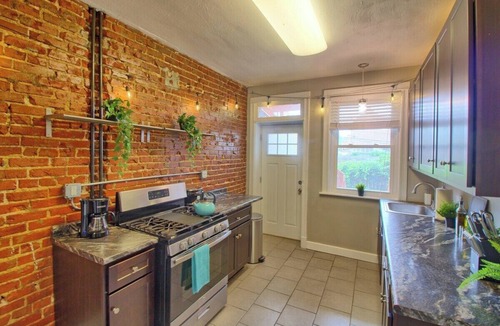 Tower Grove South Apartment | Almond Blossoms at TG Park | Fenced Backyard+W/D