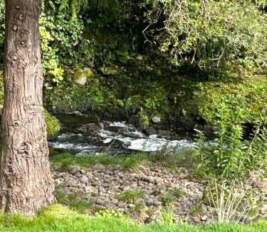 New Plymouth Bed & Breakfast | Almost Heaven BNB