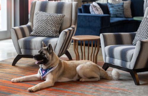 Beachwood Hotel | Aloft by Marriott Beachwood
