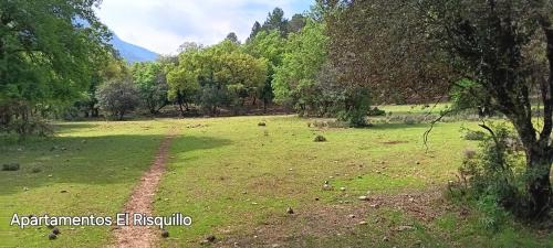 Arroyo Frio Apartment | Alojamientos El Risquillo II