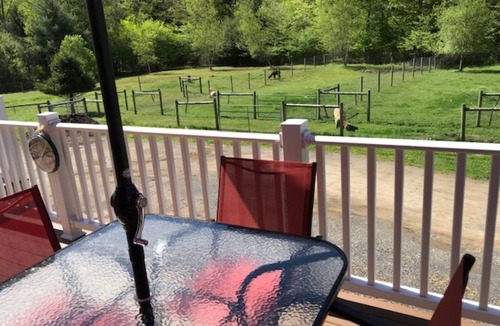 Emporium Apartment | Alpaca Farmstay & Dark Skies, PA Wilds -Lumber Heritage Region. Pet-Friendly!