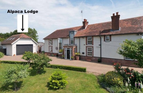 Sittingbourne Cabin | Alpaca Lodge